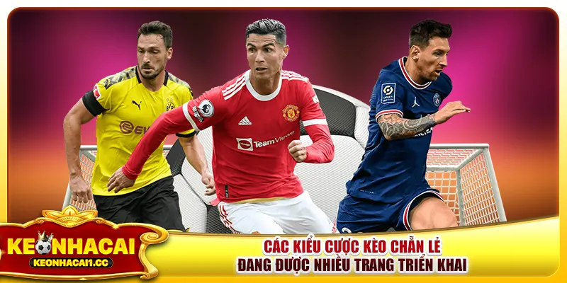 Các kiểu cược kèo chẵn lẻ đang được nhiều trang triển khai Các kiểu cược kèo chẵn lẻ đang được nhiều trang triển khai