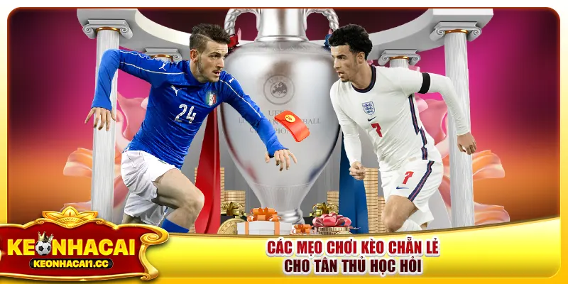 Các mẹo chơi kèo chẵn lẻ cho tân thủ học hỏi Các mẹo chơi kèo chẵn lẻ cho tân thủ học hỏi