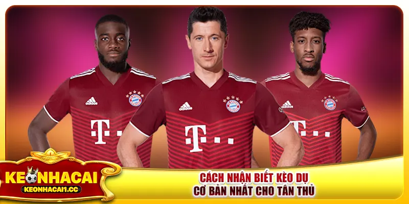 Cách nhận biết kèo dụ cơ bản nhất cho tân thủ Cách nhận biết kèo dụ cơ bản nhất cho tân thủ
