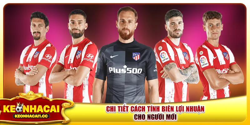 Chi tiết cách tính biên lợi nhuận cho người mới Chi tiết cách tính biên lợi nhuận cho người mới