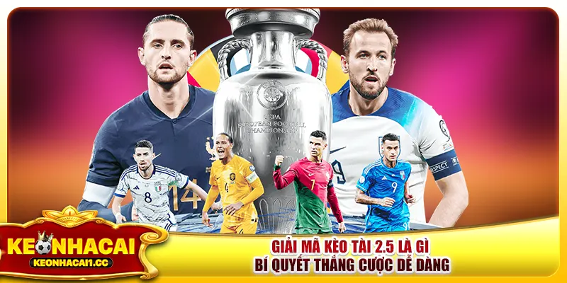Giải Mã Kèo Tài 2.5 Là Gì - Bí Quyết Thắng Cược Dễ Dàng