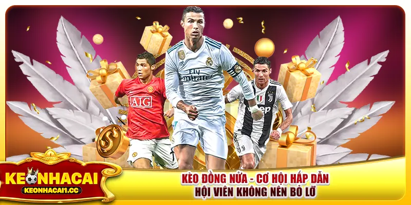 Kèo Đồng Nửa - Cơ Hội Hấp Dẫn Hội Viên Không Nên Bỏ Lỡ