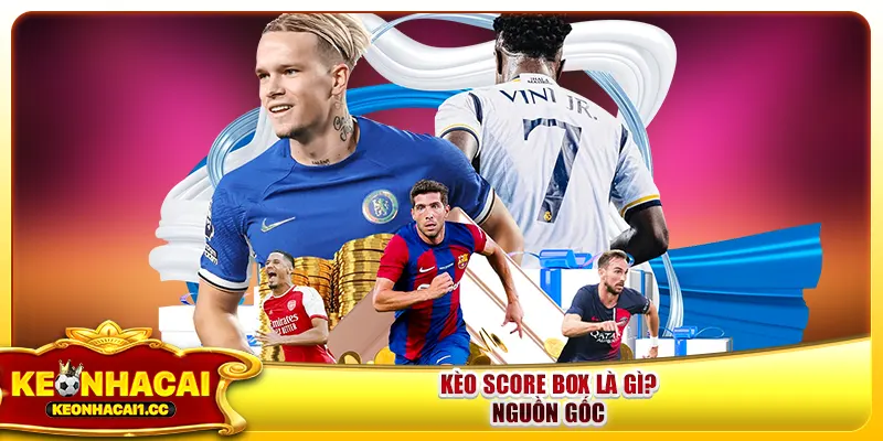 Kèo Score Box là gì? Nguồn gốc Kèo Score Box là gì? Nguồn gốc