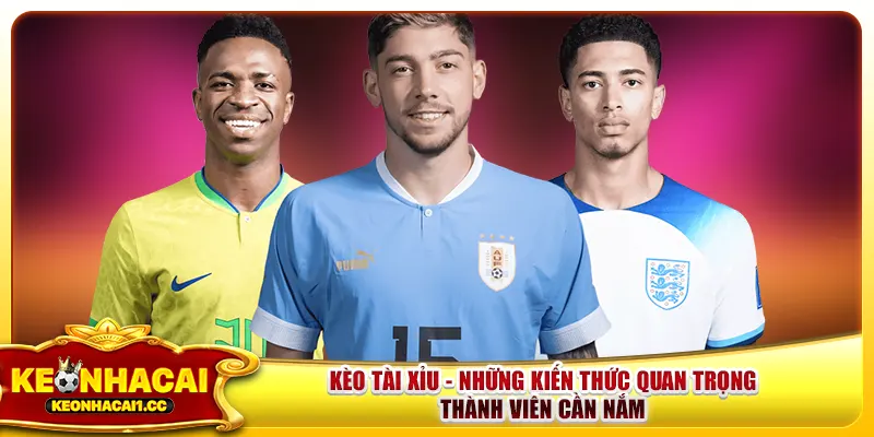 Kèo Tài Xỉu - Những Kiến Thức Quan Trọng Thành Viên Cần Nắm