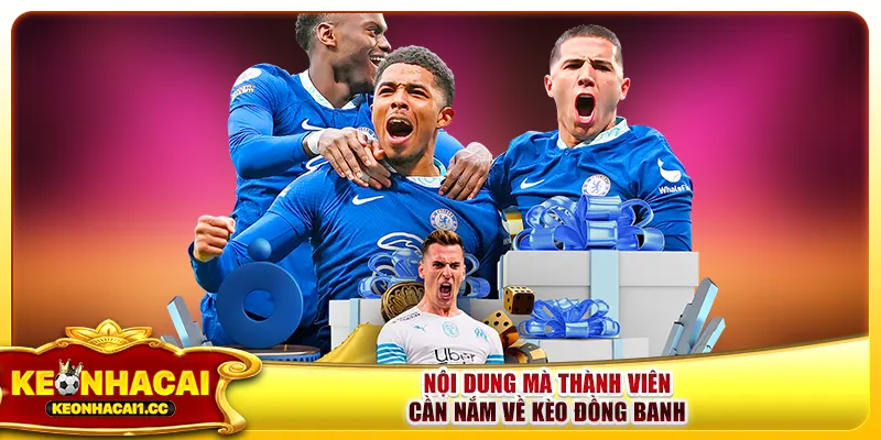 Nội dung mà thành viên cần nắm về kèo đồng banh Nội dung mà thành viên cần nắm về kèo đồng banh