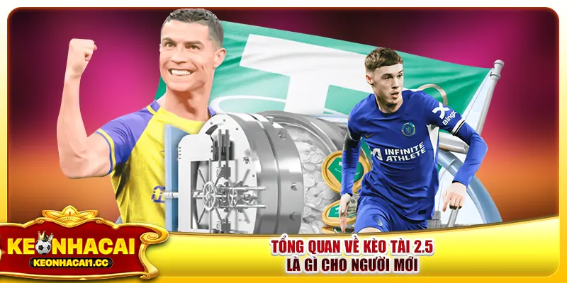 Tổng quan về kèo tài 2.5 là gì cho người mới Tổng quan về kèo tài 2.5 là gì cho người mới